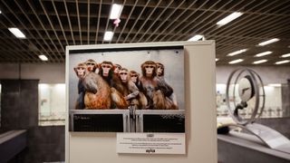 The photography exhibition "HIDDEN," co-organized by STASY S.A. & A Promise to Animals, has concluded. 