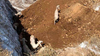 Questioning Our Morality