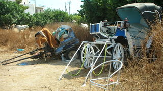 Ένα σημαντικό βήμα για την προστασία των ιπποειδών που κινούν άμαξες